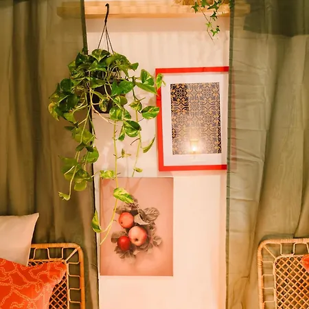 Elegant Vintage Charm-modern Comfort